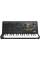 Синтезатор  Korg MS-20 Mini