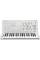 Синтезатор Korg MS-20 FS WHITE