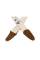 Ремень для гитары Levy's MC8U-006 Nature Cotton Series (Blue Bird)