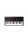 MIDI-клавіатура M-AUDIO Oxygen Pro Mini