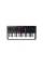 MIDI-клавіатура M-AUDIO Oxygen Pro Mini