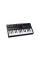 MIDI-клавіатура M-AUDIO Oxygen Pro Mini