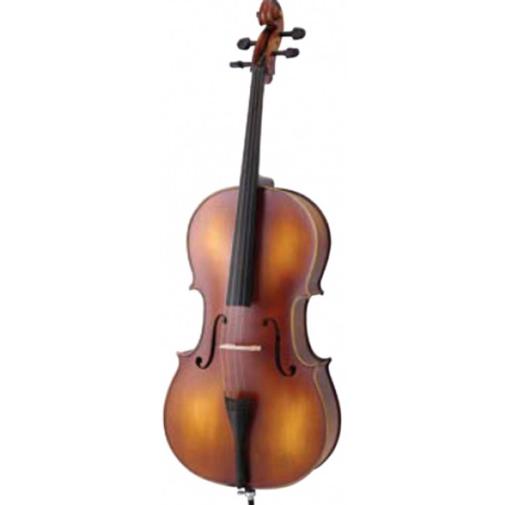 Віолончель MAXTONE CVC101 3/4