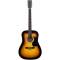 Акустическая гитара MAXTONE WGC4010 (SB)