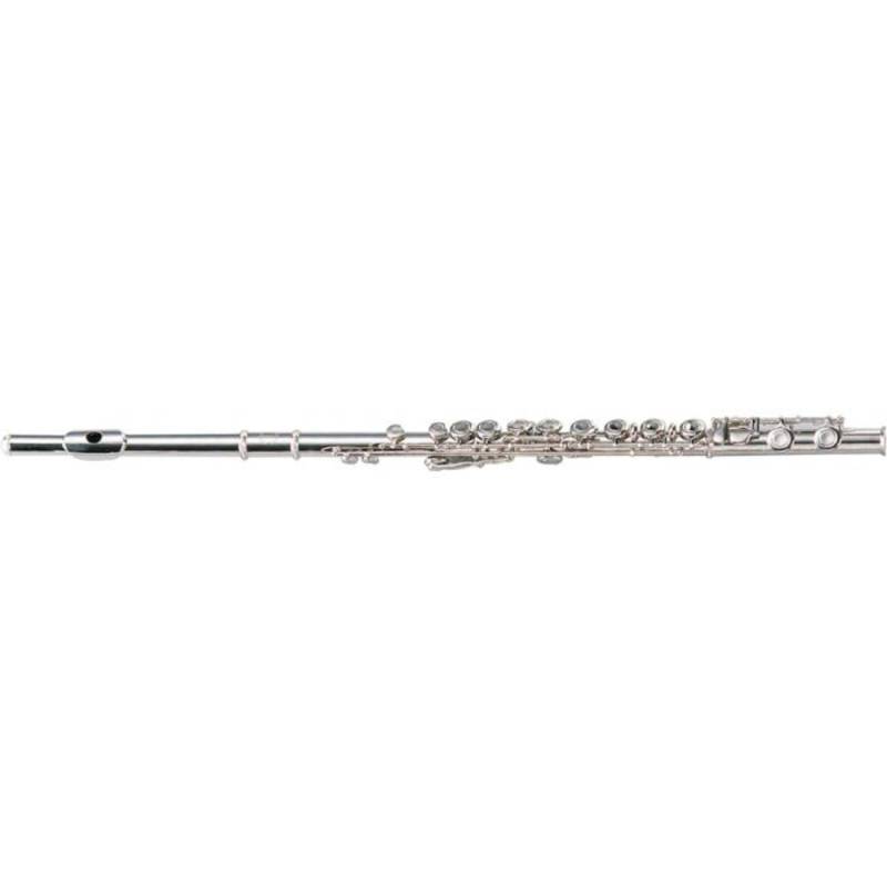 Флейта Maxtone TFC60N