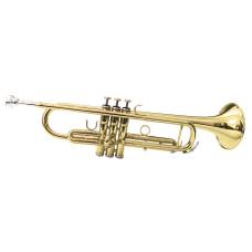Труба Maxtone TTC60L2 (TTC234L)