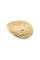 Тарілка MEINL HCS HCS80246SM Smack Stack 8"/10"/12"/14"/16"
