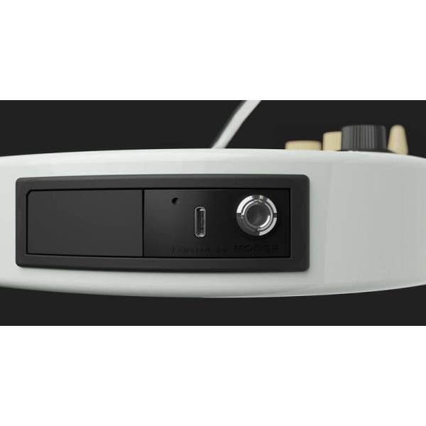 Электрогитара MOOER GTRS Standard S801 (White)