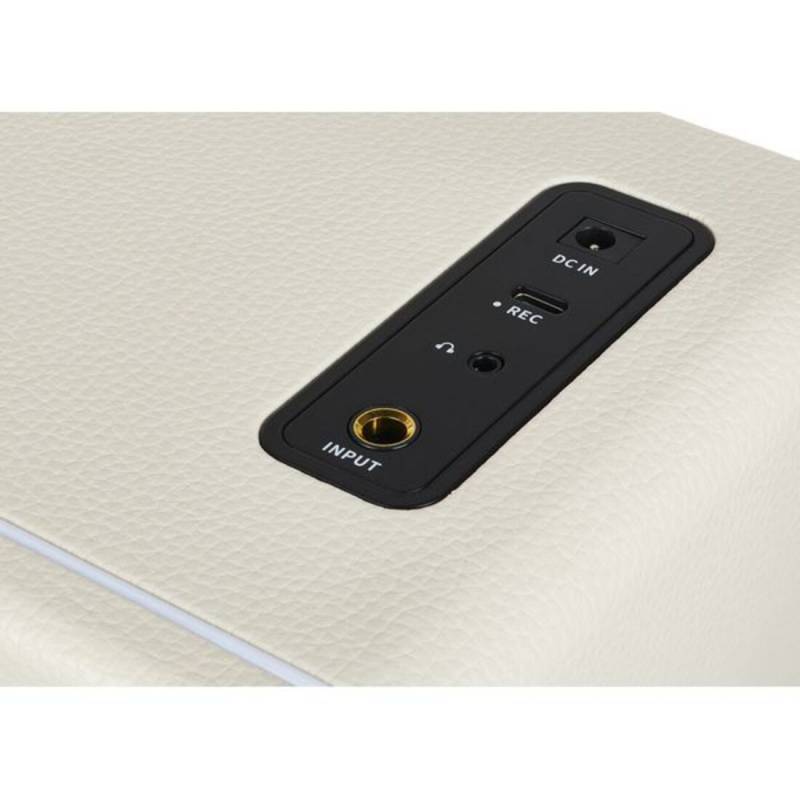 Гитарный комбоусилитель MOOER Hornet 15i (White)