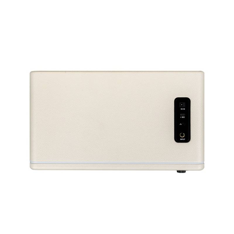 Гитарный комбоусилитель MOOER Hornet 30i (White)