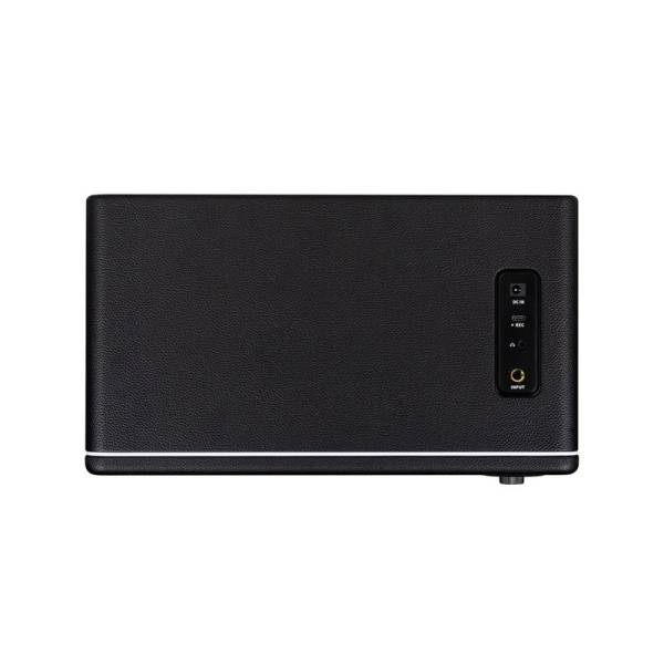 Гитарный комбоусилитель MOOER Hornet 30i (Black)