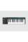 MIDI Клавіатура Nektar Impact GX Mini