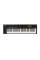 MIDI Клавіатура Nektar Impact LX61 mk3