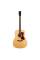 Електроакустична гітара Norman B20 Natural GT Presys II