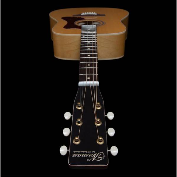 Електроакустична гітара Norman B20 Natural GT Presys II