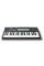 MIDI-клавіатура Novation FLkey 37 MIDI