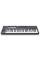 MIDI-клавіатура NOVATION FLkey 49