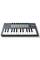 MIDI-клавіатура NOVATION FLkey Mini