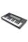 MIDI-клавіатура NOVATION FLkey Mini