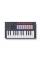 MIDI-клавіатура NOVATION FLkey 2 Mini 25