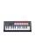 MIDI-клавіатура NOVATION FLkey 2 Mini 25