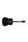 Акустична гітара PARKSONS JB4111 (Black)