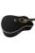 Акустична гітара PARKSONS JB4111 (Black)