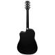 Акустична гітара PARKSONS JB4111C (Black)