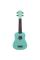 Укулеле Parksons UK21L (Turquoise)