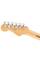 Електрогітара Fender Player Anniversary Stratocaster MN 2-Color Sunburst
