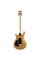 Електрогітара PRS SE CE 24 Standard (Metallic Gold)