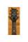Електрогітара PRS SE CE 24 Standard (Metallic Gold)