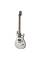 Електрогітара PRS SE CE 24 Standard (Metallic Silver)