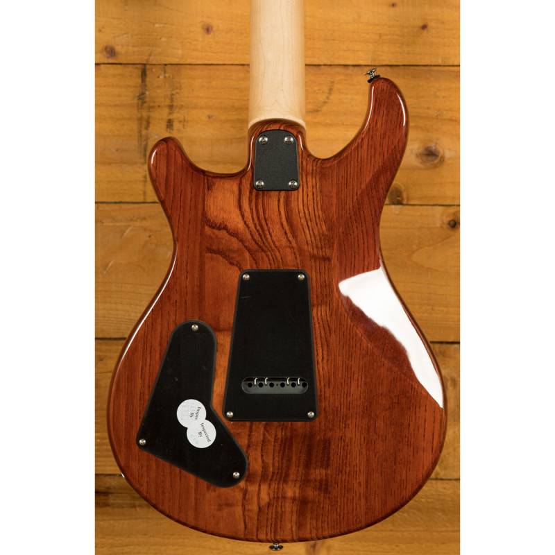 Електрогітара PRS SE Swamp Ash Special (Vintage Sunburst)