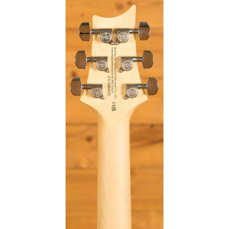 Електрогітара PRS SE Swamp Ash Special (Vintage Sunburst)