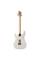 Електрогітара PRS SILVER SKY (Frost) #0350115