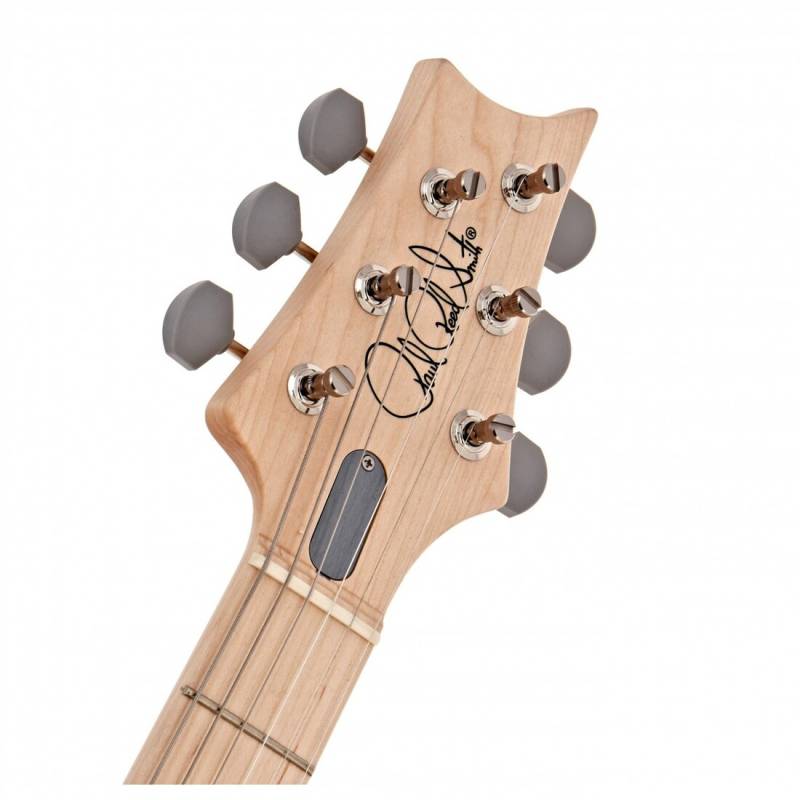 Електрогітара PRS SILVER SKY (Frost) #0350115
