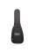 Електрогітара PRS SILVER SKY (Frost) #0350115