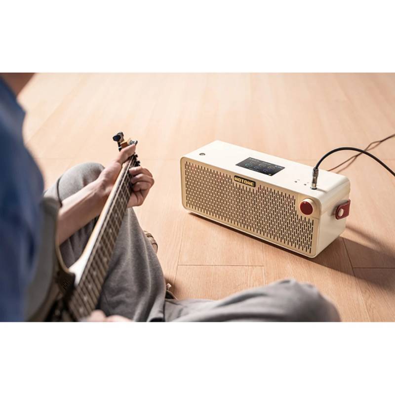 Гитарный комбоусилитель HOTONE AUDIO PULZE LUNA