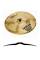 Тарелка Sabian 20" HH Leopard Ride