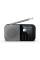 Акустика для дома Sharp DR P420 Grey