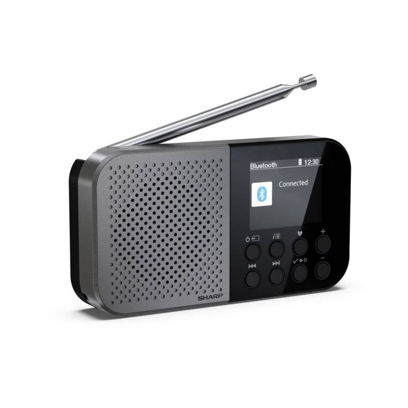 Акустика для дома Sharp DR P420 Grey