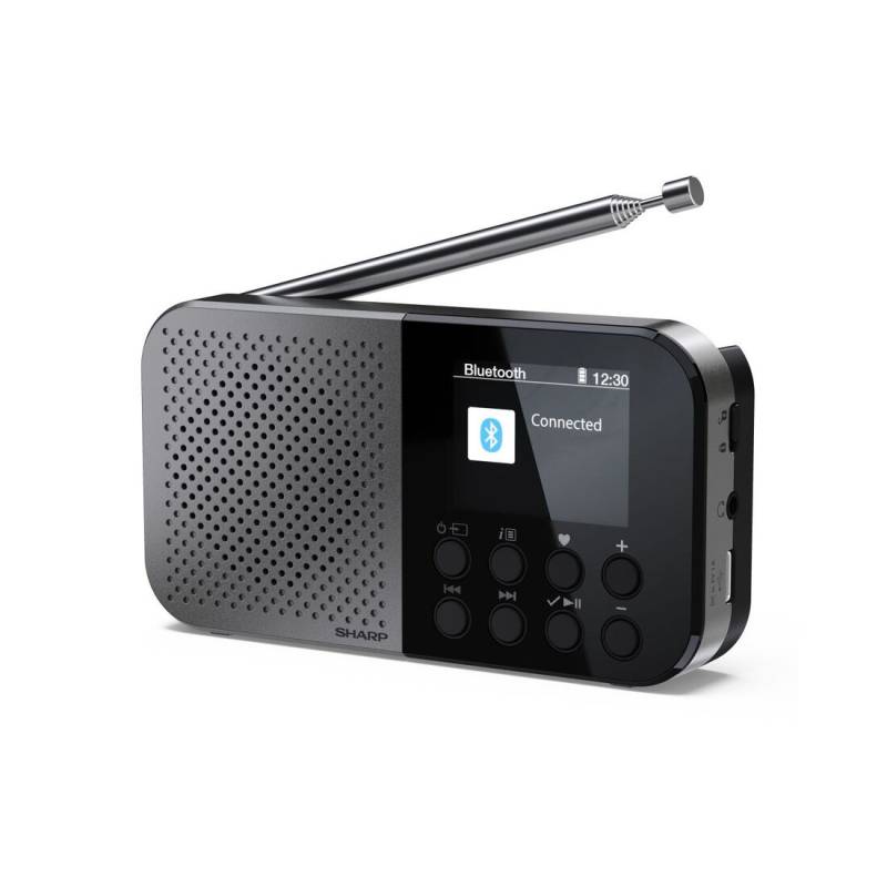 Акустика для дома Sharp DR P420 Grey