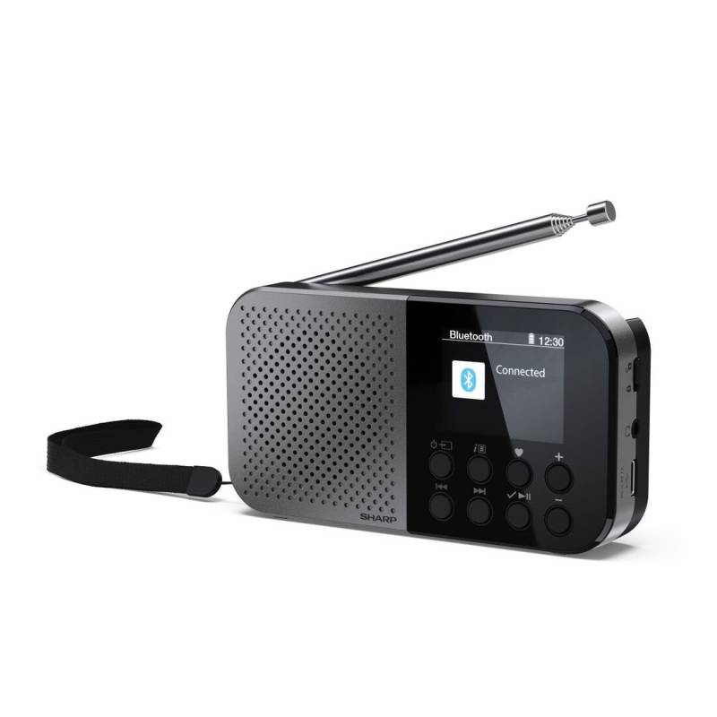 Акустика для дома Sharp DR P420 Grey