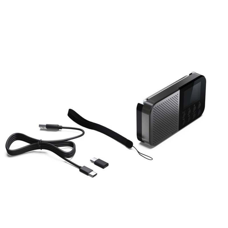 Акустика для дома Sharp DR P420 Grey