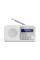 Акустика для дома Sharp DR P420 White