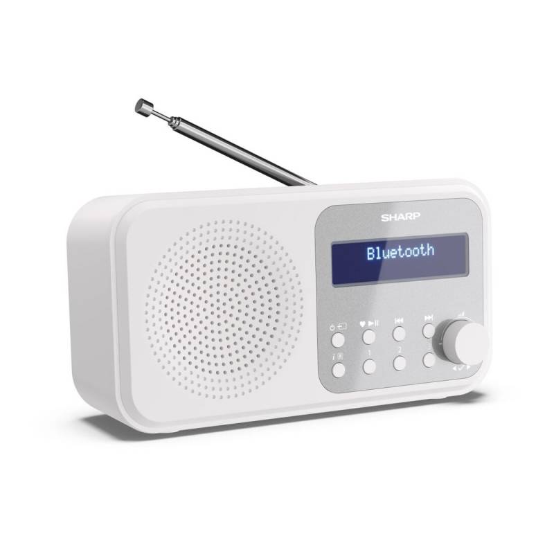 Акустика для дома Sharp DR P420 White