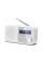 Акустика для дома Sharp DR P420 White
