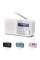 Акустика для дома Sharp DR P420 White