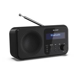 Акустика для дому Sharp DR P420